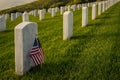 American Flag at Military Cemetery Royalty Free Stock Photo