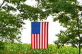 American Flag over corn field