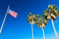 American flag and palm trees at venice beach Royalty Free Stock Photo