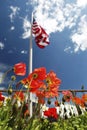 American flag on poppy fields, USA Memorial Day concept Royalty Free Stock Photo