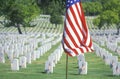 American Flag and Rows of Gravestones, Los Angeles, California Royalty Free Stock Photo