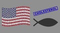 American Flag Stylization of Fish and Distress Cholesterol Seal