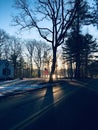 An American flag with sunrise reflection on pond, Leicester, Massachusetts