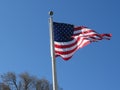 An American Flag on a tall pole blows in the wind Royalty Free Stock Photo