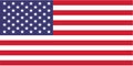 American flag vector icon. USA Royalty Free Stock Photo