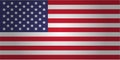 American flag vector icon. USA Royalty Free Stock Photo