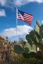 American flag waving in the wind against a background of wildlife, cacti and agave in Texas Royalty Free Stock Photo