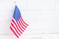 the American flag on a white background. Election of the President of the country