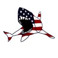 American Flagged Shark