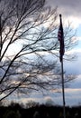 American Flagpole Against Cloud-Studded Sky and Bare Branch Designs Royalty Free Stock Photo