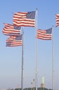 American Flags