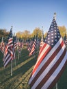 American flags displayed in the green field Royalty Free Stock Photo