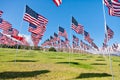 American flags displaying on Memorial Day Royalty Free Stock Photo