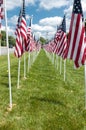 American flags displaying on Memorial Day Royalty Free Stock Photo