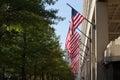 American Flags Royalty Free Stock Photo