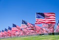 American flags on a field Royalty Free Stock Photo
