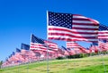 American flags on a field Royalty Free Stock Photo