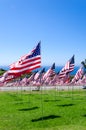 American flags on a field Royalty Free Stock Photo