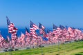 American flags on a field Royalty Free Stock Photo