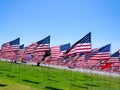 American flags on a field Royalty Free Stock Photo