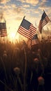 American flags in the grass at sunset. Happy Veterans Day, Memorial Day, Independence Day Royalty Free Stock Photo