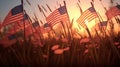 American flags in the grass at sunset. Happy Veterans Day, Memorial Day, Independence Day Royalty Free Stock Photo