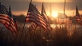 American flags in the grass at sunset. Happy Veterans Day, Memorial Day, Independence Day Royalty Free Stock Photo