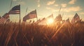 American flags in the grass at sunset. Happy Veterans Day, Memorial Day, Independence Day Royalty Free Stock Photo