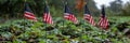 American flags on graves of veterans on memorial day in national cemetery with space for text Royalty Free Stock Photo