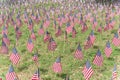 American flags in a green field commemorating a national holiday in USA Royalty Free Stock Photo