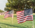 American Flags on green grass lawn Independence Day Royalty Free Stock Photo