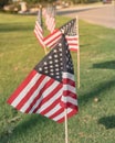 American Flags on green grass lawn Independence Day Royalty Free Stock Photo