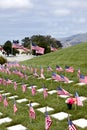 American Flags and Headstones at United States National Cemetery Royalty Free Stock Photo