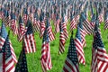 American Flags Royalty Free Stock Photo