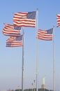 American Flags, Liberty Park, New Jersey