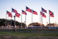 American Flags waving in the park