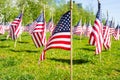 American flags Royalty Free Stock Photo