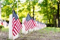 American flags marking the graves of war veterans in a cemetery Royalty Free Stock Photo