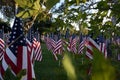 American Flags. Memorial Day holiday. Royalty Free Stock Photo