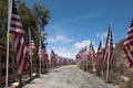 American flags. Memorial Day, Independence Day and Veterans Day Royalty Free Stock Photo