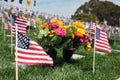 American Flags at National Cemetery