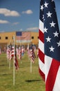 American flags in a park Royalty Free Stock Photo