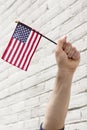 American Flags Patriotism Royalty Free Stock Photo