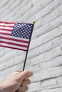 American Flags Patriotism Royalty Free Stock Photo