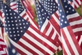 American Flags Royalty Free Stock Photo