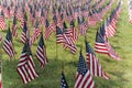 American flags Royalty Free Stock Photo