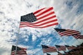 American Flags in rows