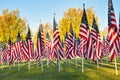 American flags standing in the green field Royalty Free Stock Photo