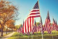 American flags standing in the green field Royalty Free Stock Photo