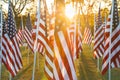 American flags display at beautiful sunrise Royalty Free Stock Photo